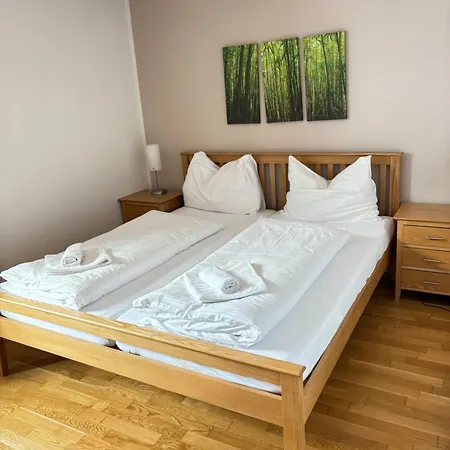 Steinadler Schaidberg Fl - Skiing In Apartment