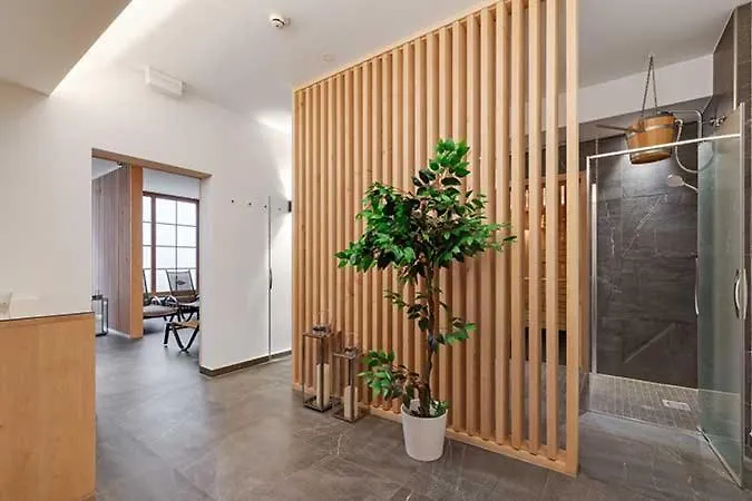 Steinadler Schaidberg Fl - Skiing In * Obertauern