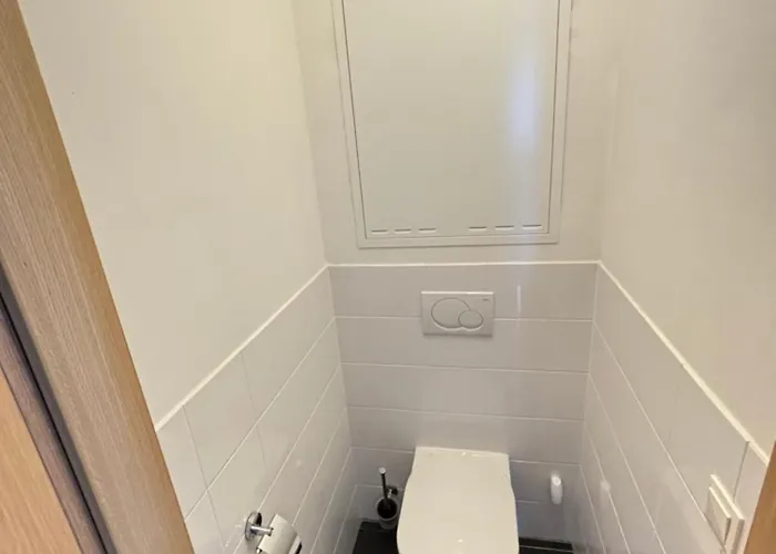 Steinadler Schaidberg Fl - Skiing In Apartment *